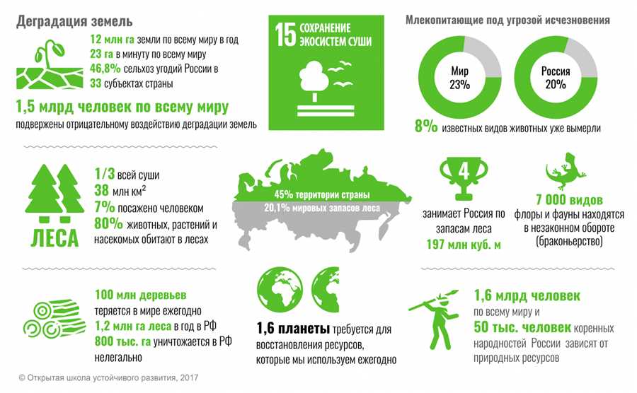 Определение целей и стратегий экономии